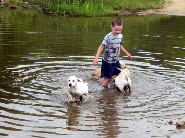 Pond play